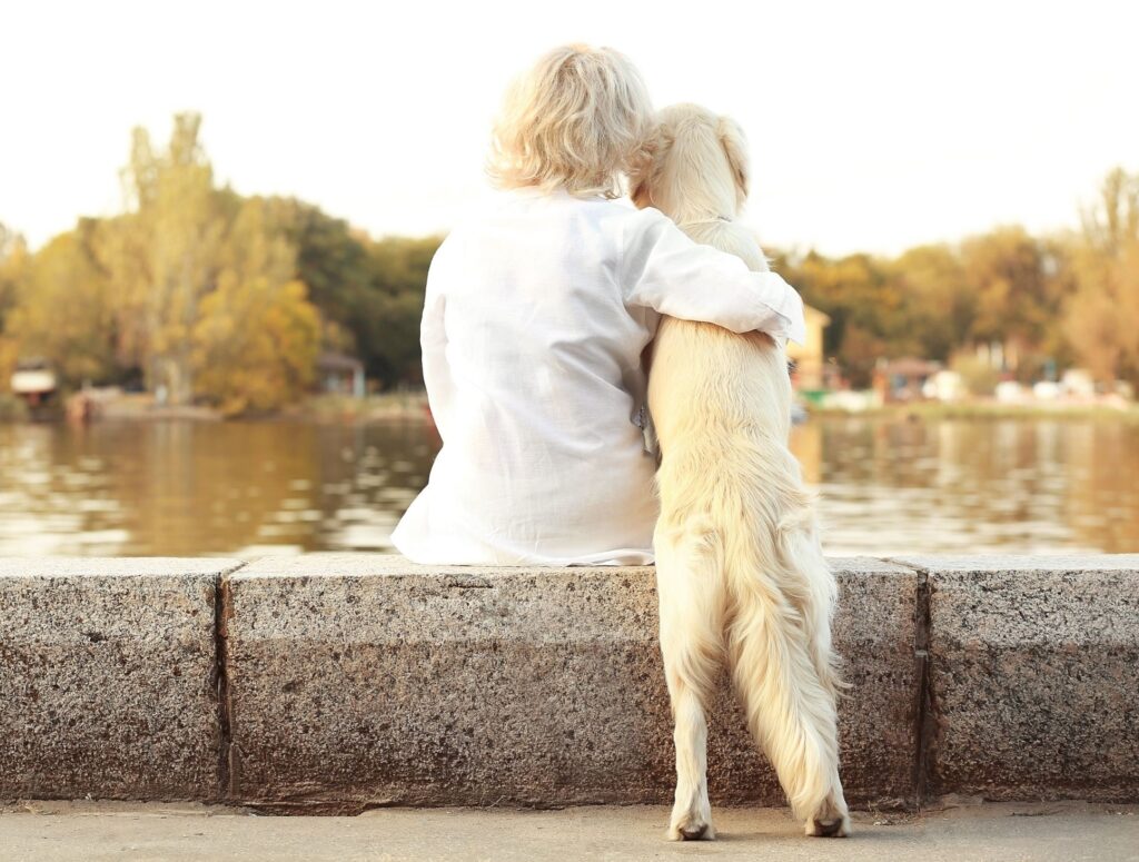 Bio Hundefutter